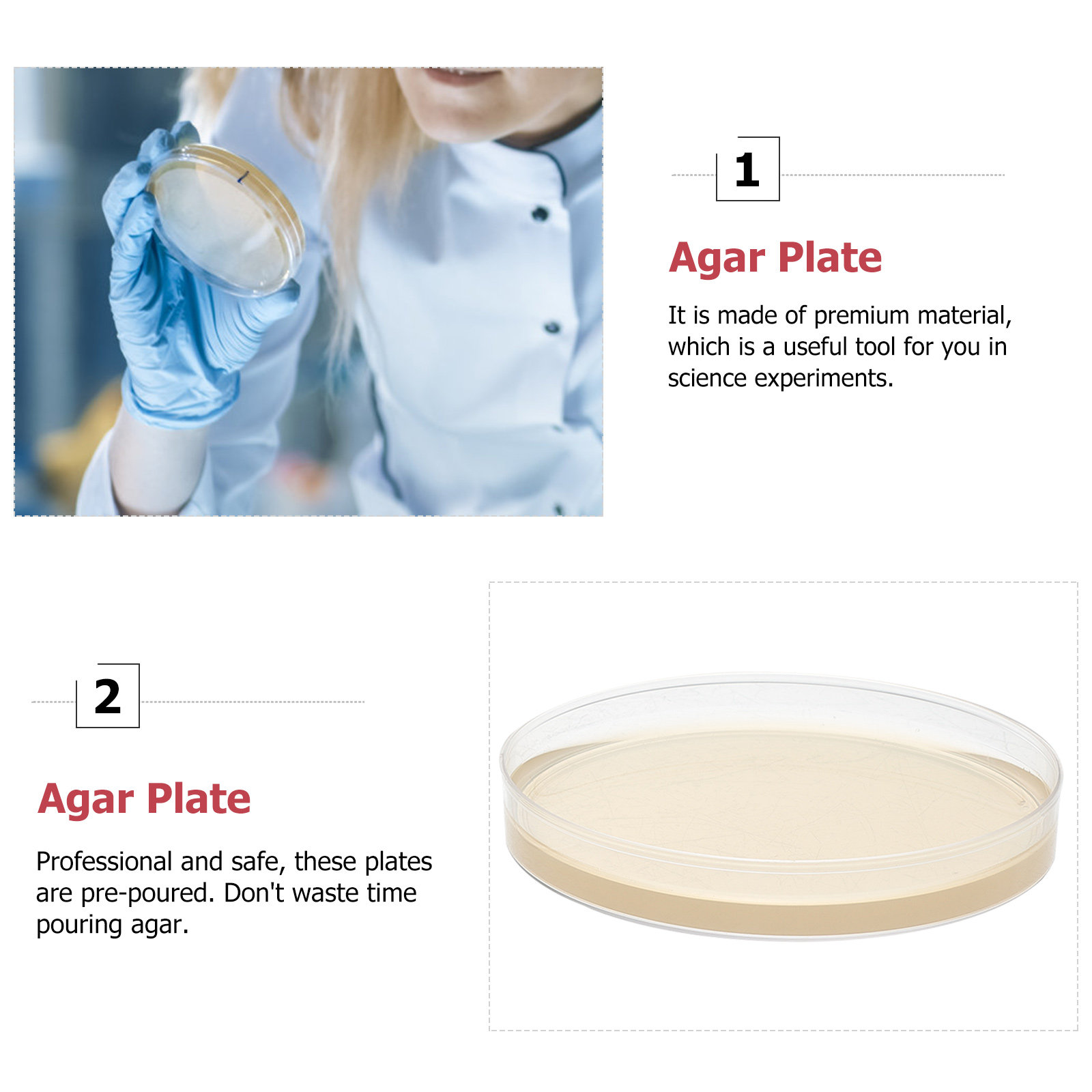10 Stück Nähragarplatten, vorg – Science Project Bewertung und Preis