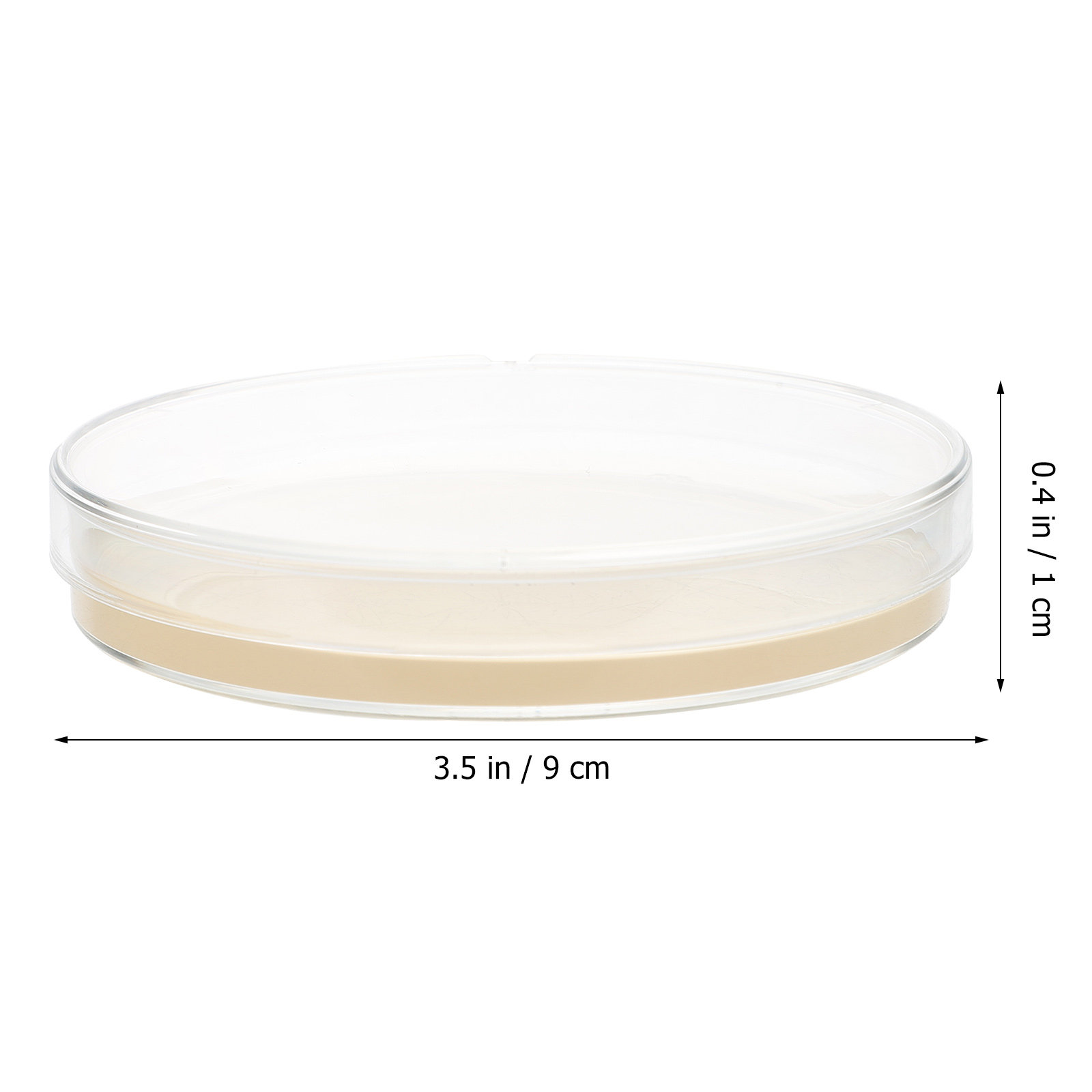 10 Stück Nähragarplatten, vorg – Science Project Bewertung und Preis