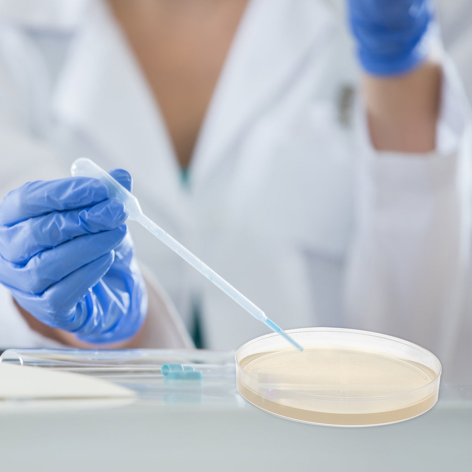 10 Stück Nähragarplatten, vorg – Science Project Bewertung und Preis