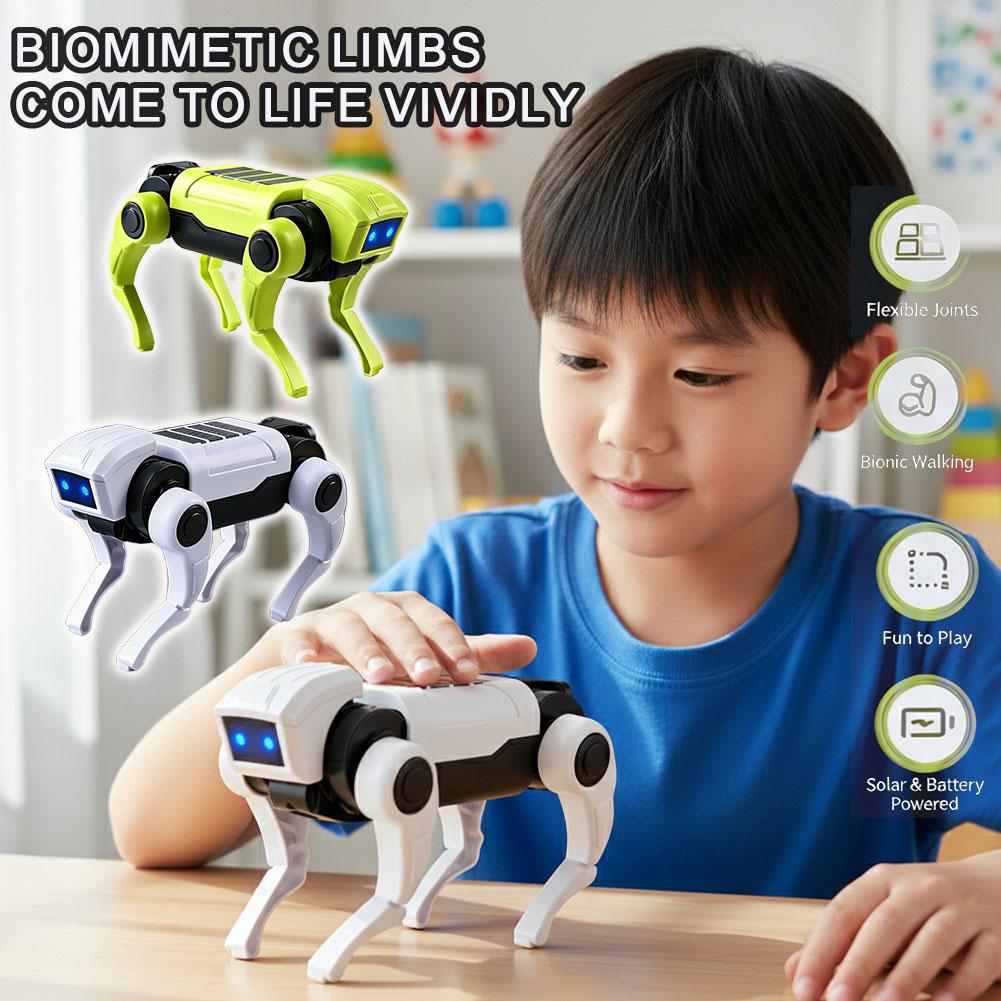 1/2 Stück RC Roboter Ferngeste – Science Toys Diy Bewertung und Preis