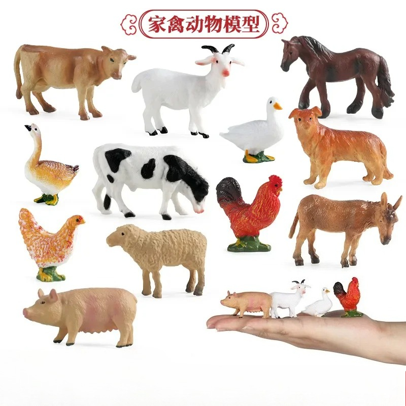 Bildung Lehrmittel Geflügel Ti – Science Toy Bewertung und Preis
