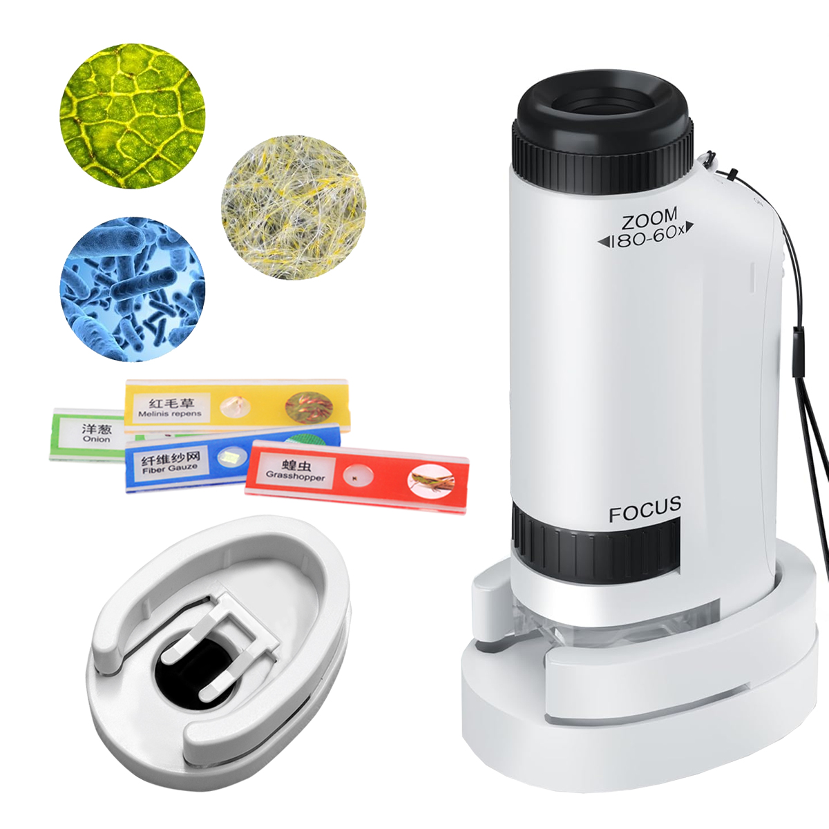 Mini-Mikroskop-Handspielzeug-S – Science Max Bewertung und Preis